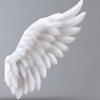 Aile d' Ange