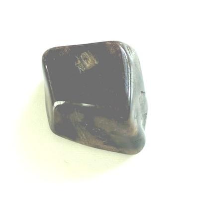 BOIS FOSSILE PETRIFIE MINI PIERRE