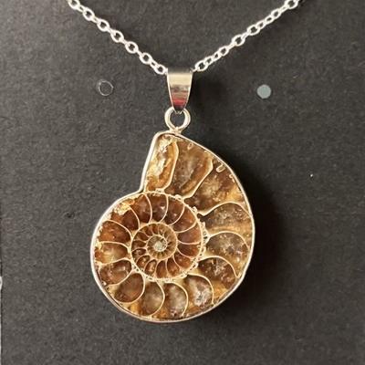 AMMONITE FOSSILE PENDENTIF