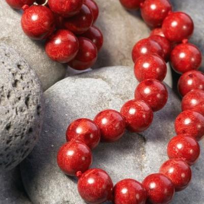 Corail rouge : Pierre Ancrage Protection contre Magie noire Jalousie Manipulation Lithothrapie