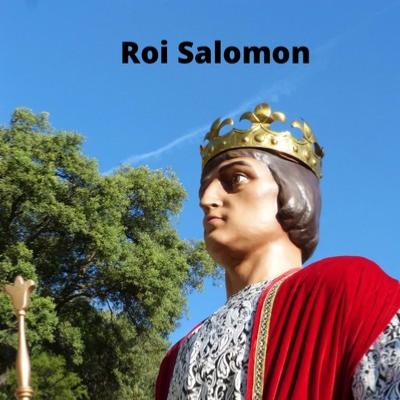 Roi Salomon